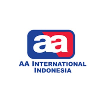 AA INTERNATIONAL